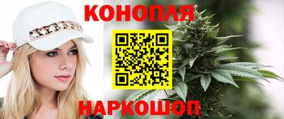 гидра Можайск