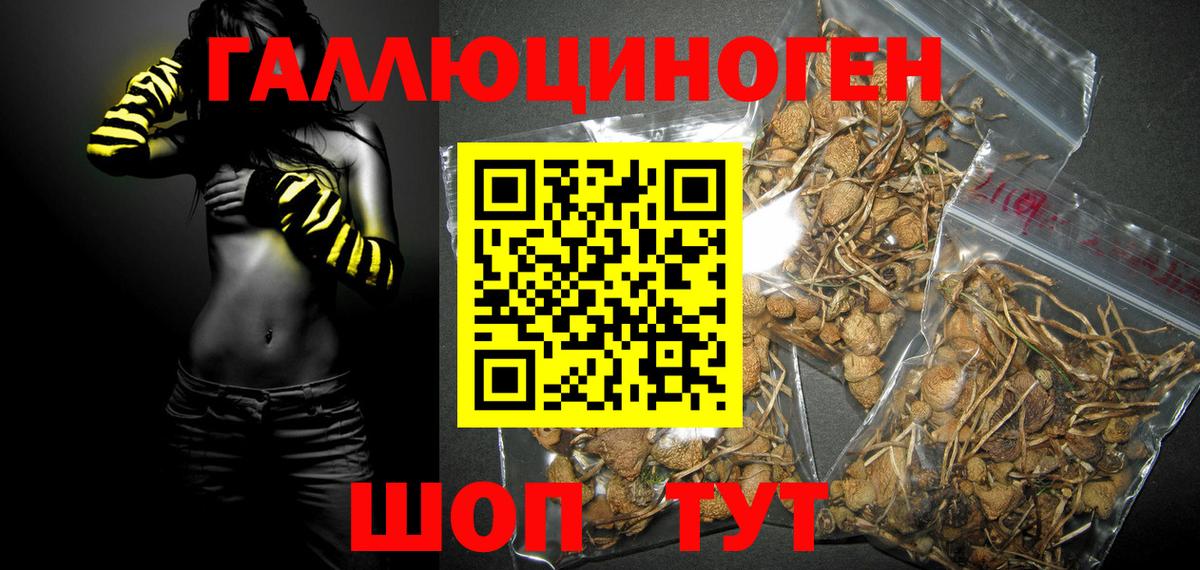 Тихвин  Галлюциногенные грибы Magic Shrooms  Галлюциногенные грибы мицелий  Вход с VPN 